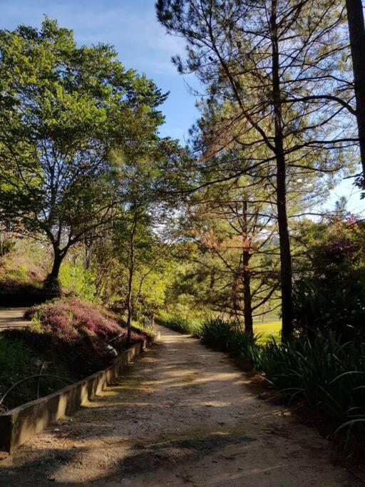 Recanto Dos Beija Flores, Chale Lantana C Monte Alegre do Sul Exteriör bild